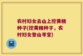 农村妇女去山上挖黄精种子(挖黄精种子，农村妇女登山寻宝)