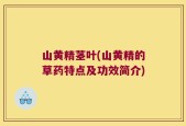 山黄精茎叶(山黄精的草药特点及功效简介)