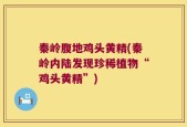 秦岭腹地鸡头黄精(秦岭内陆发现珍稀植物“鸡头黄精”)