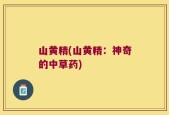 山黄精(山黄精：神奇的中草药)