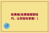 收黄精(收黄精提取技巧，让你轻松掌握！)
