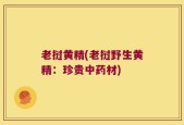 老挝黄精(老挝野生黄精：珍贵中药材)