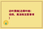 边叶黄精(边黄叶精：功效、用法和注意事项)