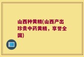山西种黄精(山西产出珍贵中药黄精，享誉全国)