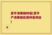 恩平滇黄精种苗(恩平产滇黄精优质种苗供应)