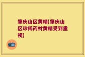 肇庆山区黄精(肇庆山区珍稀药材黄精受到重视)