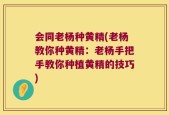 会同老杨种黄精(老杨教你种黄精：老杨手把手教你种植黄精的技巧)