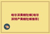 哈尔滨黄精牡蛎(哈尔滨特产黄精牡蛎推荐)