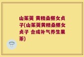 山茱萸 黄精桑椹女贞子(山茱萸黄精桑椹女贞子 合成补气养生果茶)