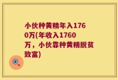 小伙种黄精年入1760万(年收入1760万，小伙靠种黄精脱贫致富)
