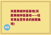 凤凰黄精种苗基地(凤凰黄精种苗基地——培育黄金营养素的新聚集地)