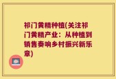 祁门黄精种植(关注祁门黄精产业：从种植到销售奏响乡村振兴新乐章)