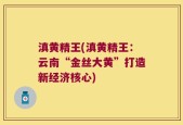 滇黄精王(滇黄精王：云南“金丝大黄”打造新经济核心)