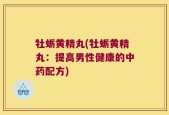 牡蛎黄精丸(牡蛎黄精丸：提高男性健康的中药配方)
