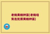 老杨黄精种苗(老杨培育出优质黄精种苗)