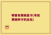 哪里有黄精苗子(寻找黄精种子的去处)
