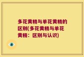 多花黄精与单花黄精的区别(多花黄精与单花黄精：区别与认识)