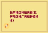 拉萨地区种植黄精(拉萨地区推广黄精种植技术)