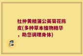 杜仲黄精蒲公英菊花陈皮(多种草本植物精华，助您调理身体)