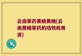 云南草药黄精黄精(云南黄精草药的功效和用途)