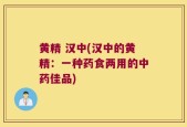 黄精 汉中(汉中的黄精：一种药食两用的中药佳品)