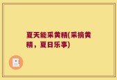 夏天能采黄精(采摘黄精，夏日乐事)