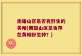 南雄山区是否有野生的黄精(南雄山区是否存在黄精野生种？)