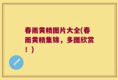 春雨黄精图片大全(春雨黄精集锦，多图欣赏！)