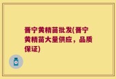 晋宁黄精苗批发(晋宁黄精苗大量供应，品质保证)