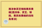 西洋参灵芝锁阳黄芪黄精(西洋参、灵芝、锁阳、黄芪和黄精的功效及用法)