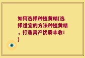 如何选择种植黄精(选择适宜的方法种植黄精，打造高产优质丰收！)