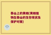 泰山上的黄精(黄精植物在泰山的生存现状及保护对策)