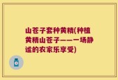 山苍子套种黄精(种植黄精山苍子——一场静谧的农家乐享受)