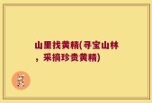 山里找黄精(寻宝山林，采摘珍贵黄精)