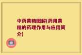 中药黄精图解(药用黄精的药理作用与应用简介)