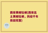 西安黄精牡蛎(西安出土黄精牡蛎，历经千年依旧完整)