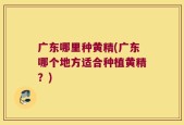 广东哪里种黄精(广东哪个地方适合种植黄精？)