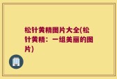 松针黄精图片大全(松针黄精：一组美丽的图片)