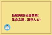 仙居黄精(仙居黄精：生命之源，滋养人心)