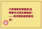 六安哪里有黄精苗(在哪里可以购买黄精苗？——探寻黄精苗销售地点)