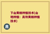 下山黄精种植技术(山地种植：高效黄精种植技术)