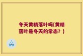 冬天黄精落叶吗(黄精落叶是冬天的常态？)