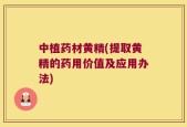 中植药材黄精(提取黄精的药用价值及应用办法)