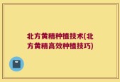 北方黄精种植技术(北方黄精高效种植技巧)