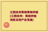 江西抚州黄精黄精种植(江西抚州：黄精种植领跑当地产业发展)