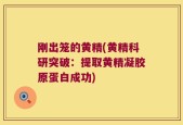 刚出笼的黄精(黄精科研突破：提取黄精凝胶原蛋白成功)