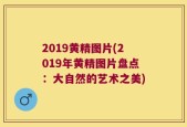 2019黄精图片(2019年黄精图片盘点：大自然的艺术之美)