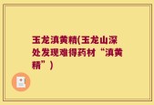 玉龙滇黄精(玉龙山深处发现难得药材“滇黄精”)