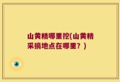 山黄精哪里挖(山黄精采摘地点在哪里？)