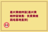 嘉兴黄精种苗(嘉兴黄精种苗销售：优质黄精栽培基地直供)